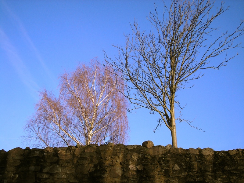p3044356.jpg
