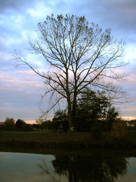 pa273641.jpg