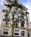 p8060380