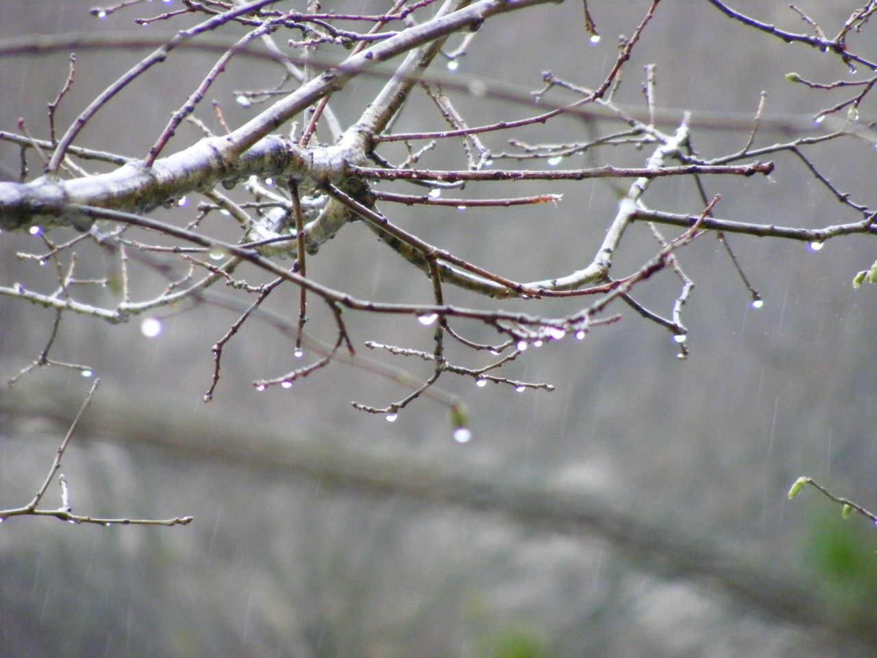 dscf8252.jpg