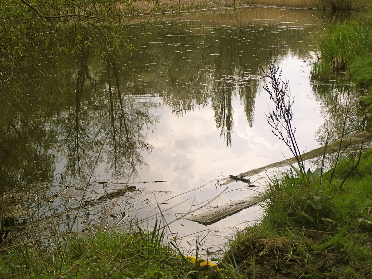 dscf8591.jpg