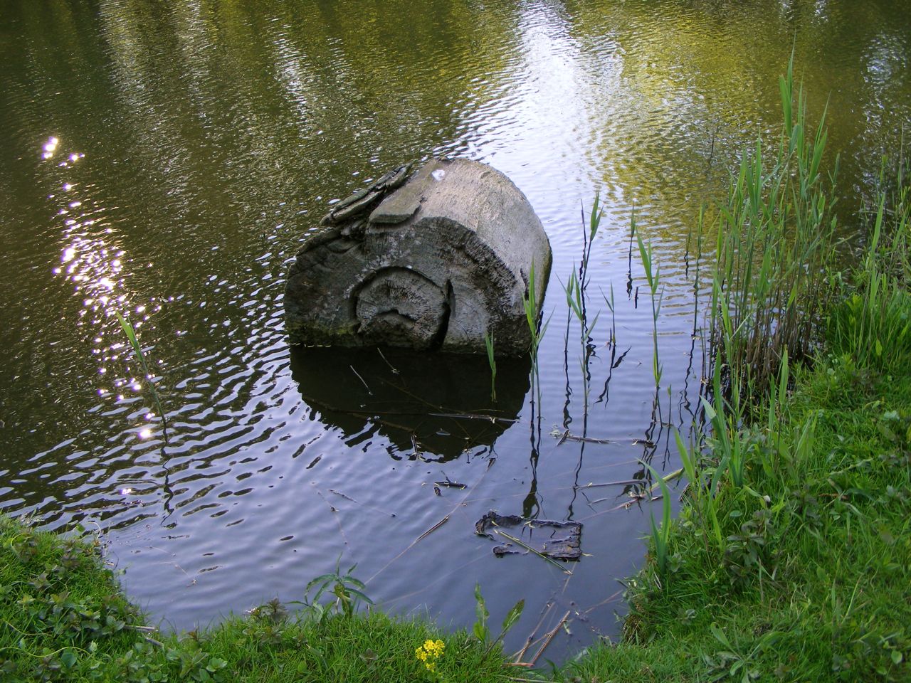 dscf8896.jpg