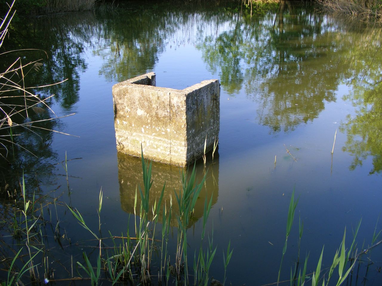 dscf8898.jpg