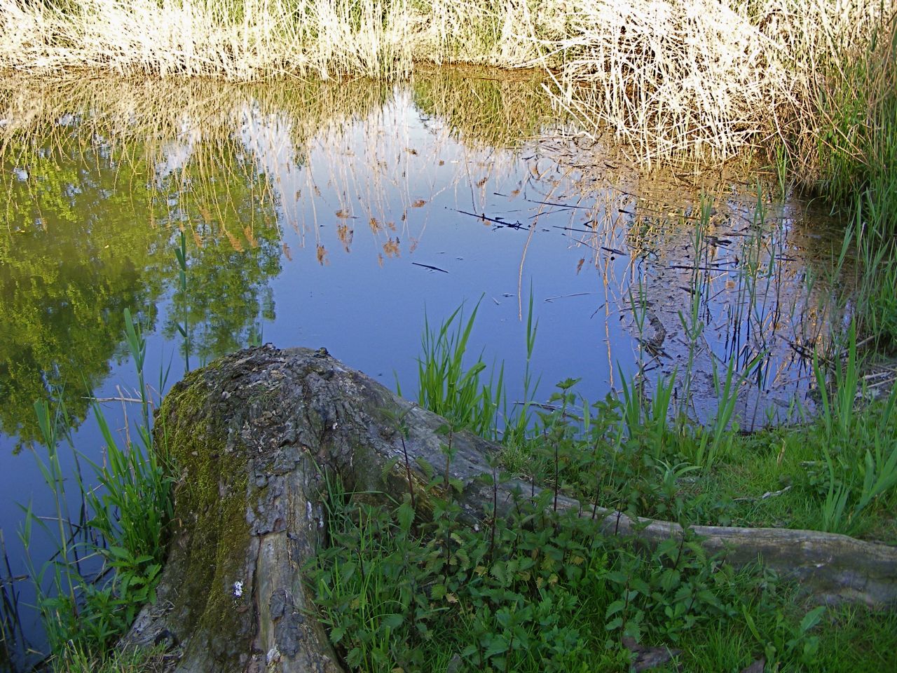 dscf8899.jpg