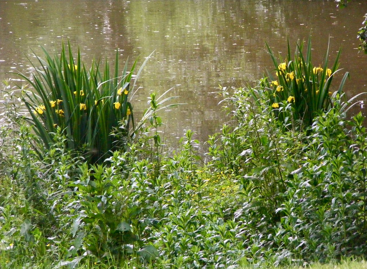 dscf9381.jpg