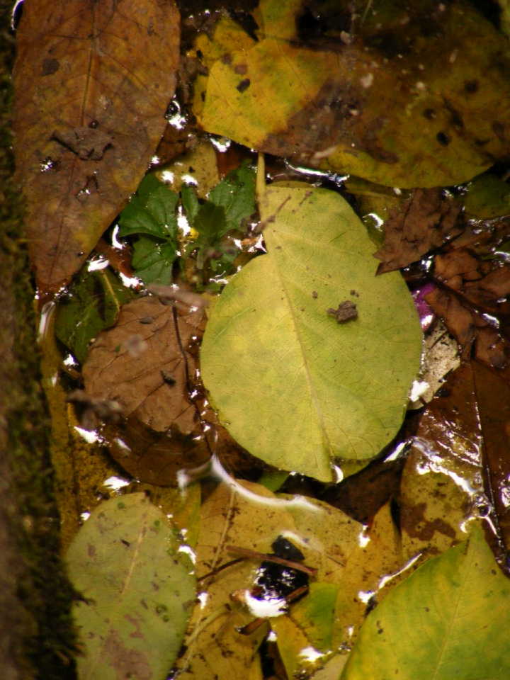 dscf9843.jpg