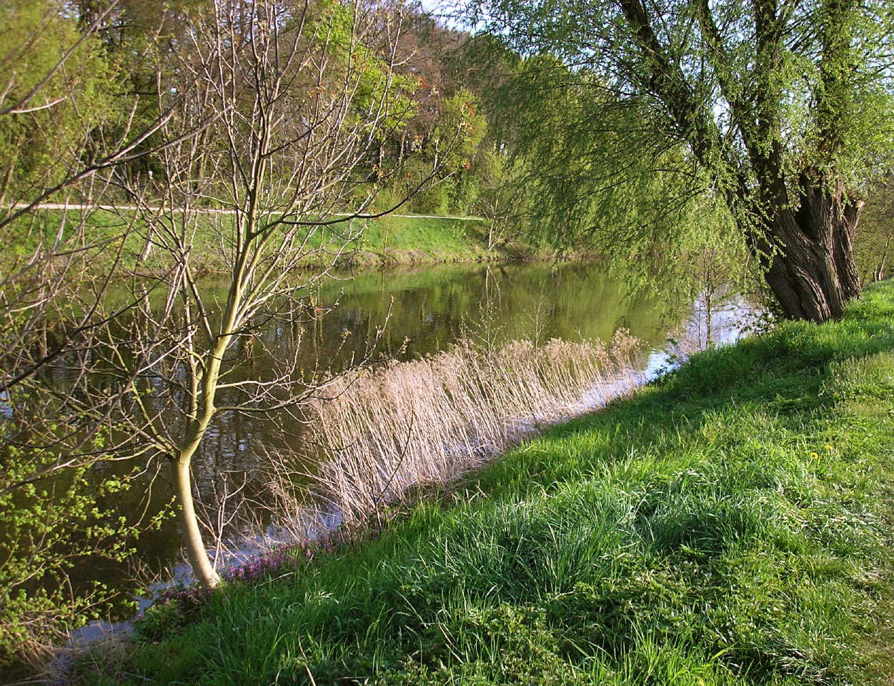 p4124926.jpg